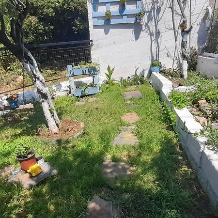 Το Σπίτι Της Ελένης Apartment Vlachia Exterior photo