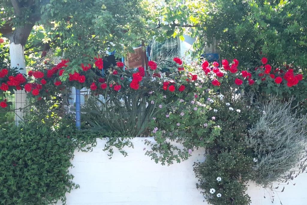 Το Σπίτι Της Ελένης Apartment Vlachia Exterior photo