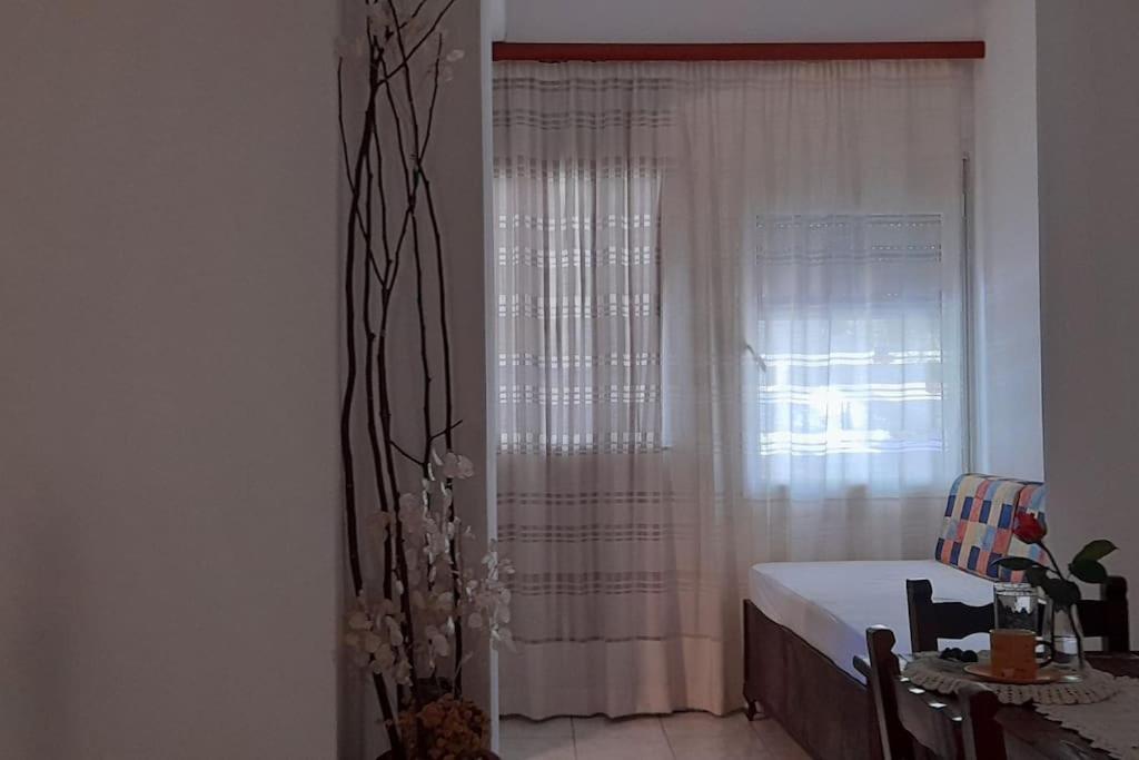 Το Σπίτι Της Ελένης Apartment Vlachia Exterior photo
