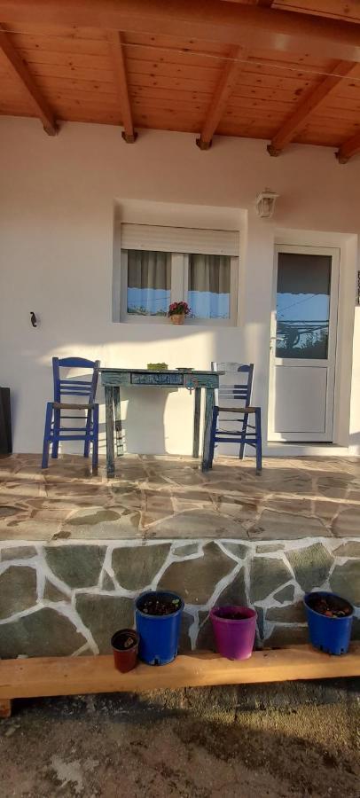 Το Σπίτι Της Ελένης Apartment Vlachia Exterior photo