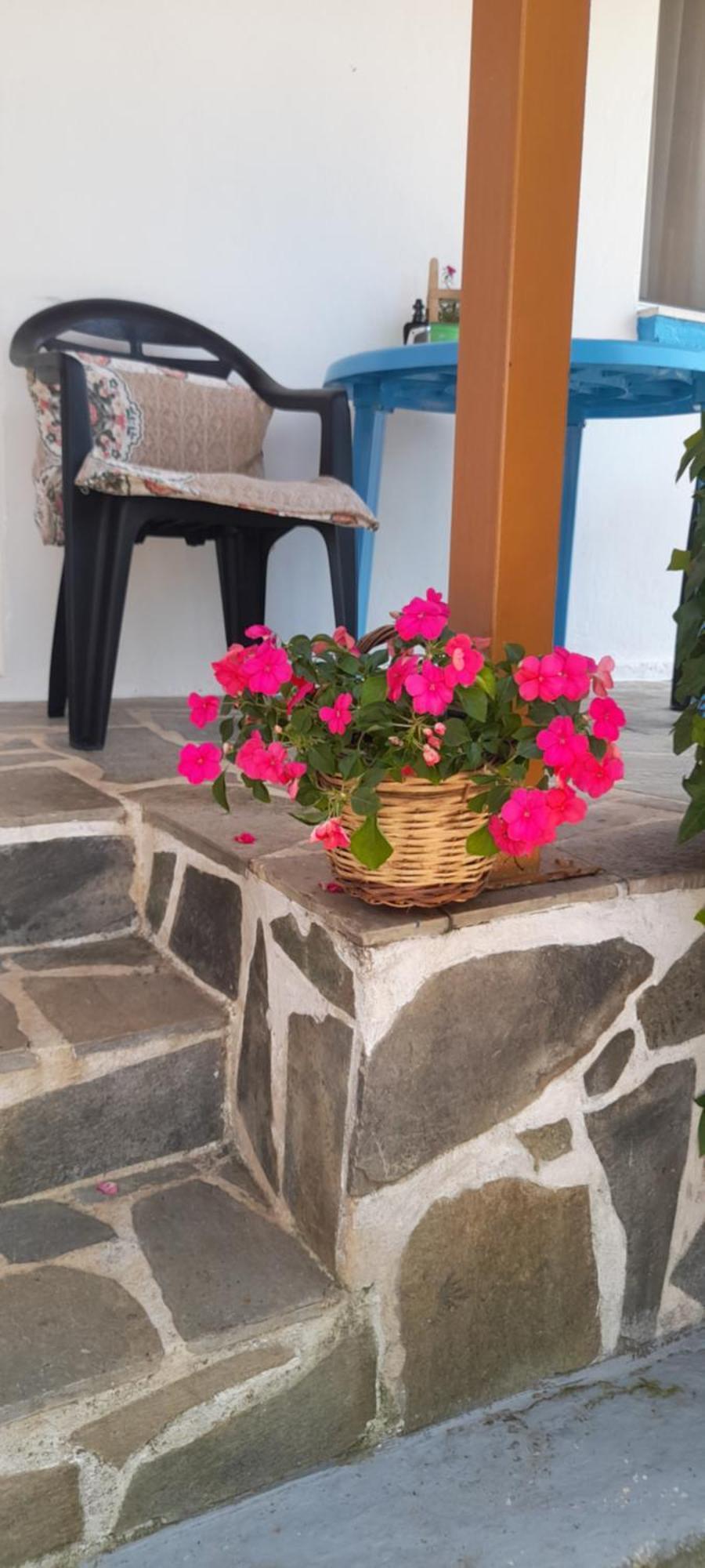 Το Σπίτι Της Ελένης Apartment Vlachia Exterior photo