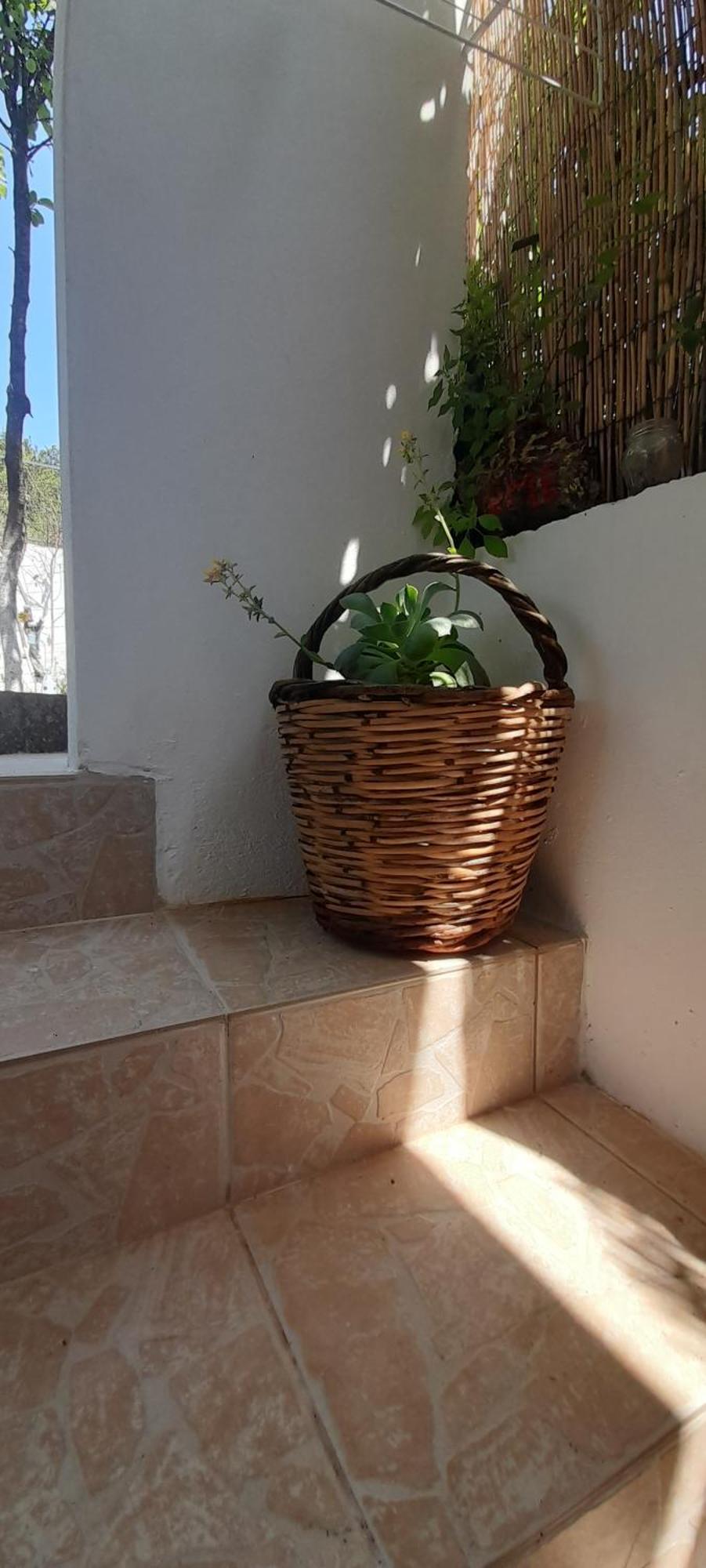 Το Σπίτι Της Ελένης Apartment Vlachia Exterior photo