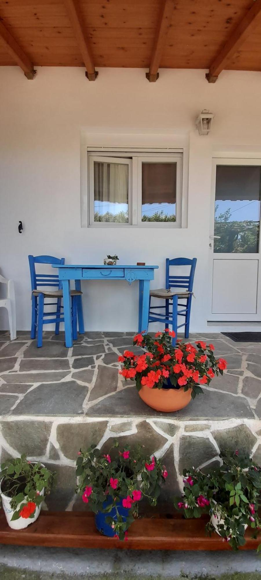Το Σπίτι Της Ελένης Apartment Vlachia Exterior photo